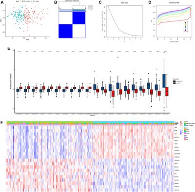 Identification of Subtypes and a Delayed Graft Function Predictive Signature Based on Ferroptosis in Renal Ischemia-Reperfusion Injury